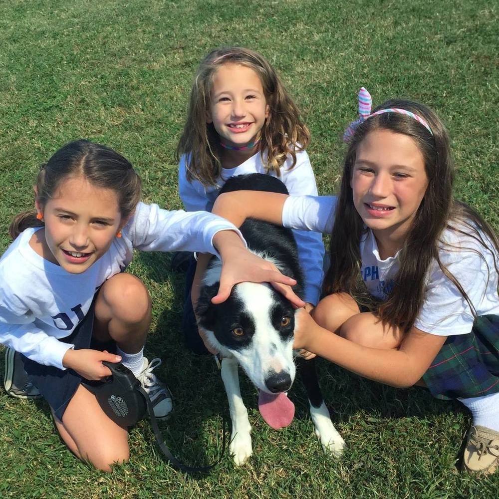 Meet your Posher, Theresa